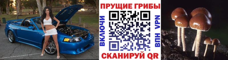 Псилоцибиновые грибы прущие грибы купить Вуктыл