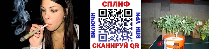 Бошки марихуана White Widow  Вуктыл 